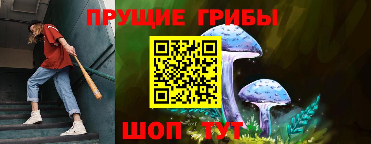 Псилоцибиновые грибы Cubensis Гусев
