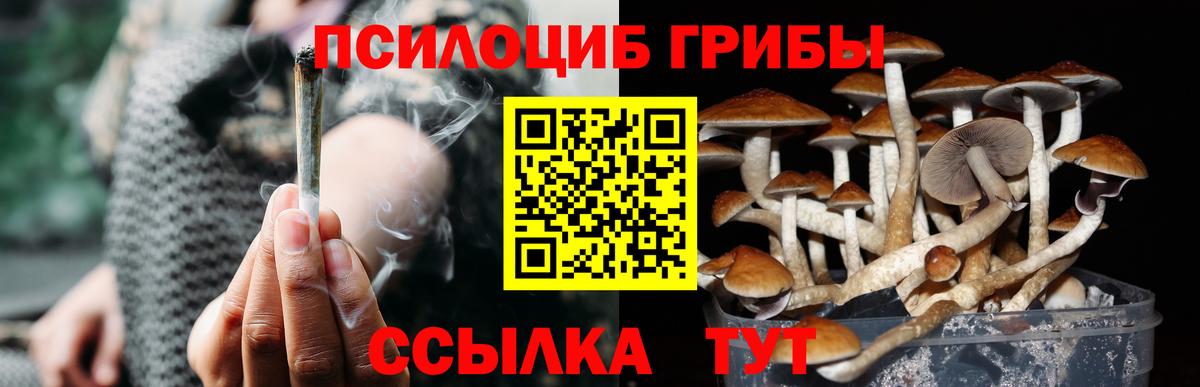 Гусев  Галлюциногенные грибы прущие грибы  даркнет сайт  Вход с VPN 